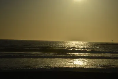 DSC_7239 (Large).JPG